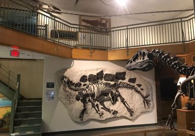 University of Wyoming Geological Museum