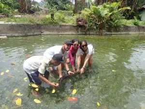 Sacred Eels of Waai