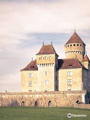 Le Castle de Montrottier