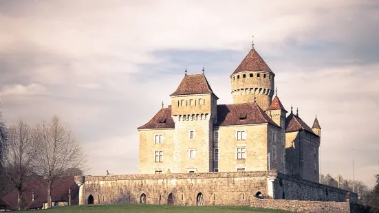 Le Castle de Montrottier