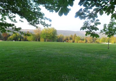 Aberdare Park