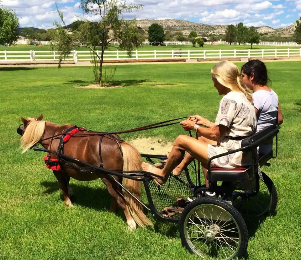 Hotels near Arizona Equestrian Connection