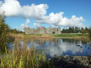 Roscommon Castle