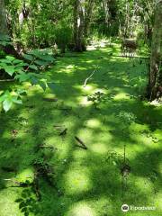 Flat Island Preserve