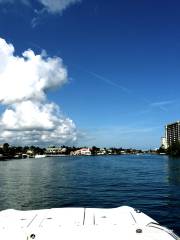 Boca Boat Adventures