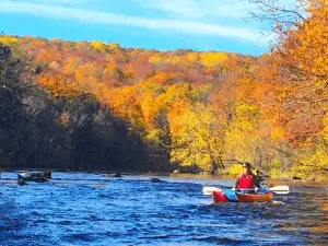 Wildman Adventure Resort - Peshtigo River Outpost