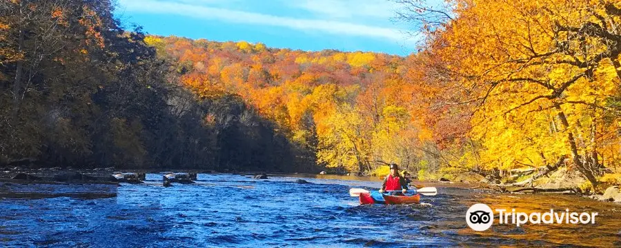 Wildman Adventure Resort - Peshtigo River Outpost