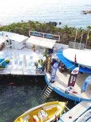 Kiwi Watersports & Dive Center