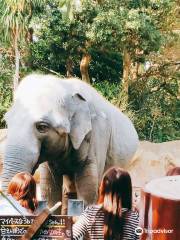 到津之森公園（動物園）