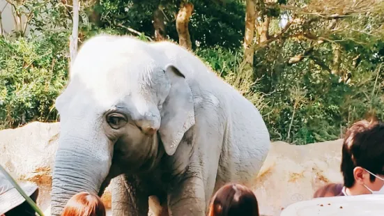 到津之森公園（動物園）