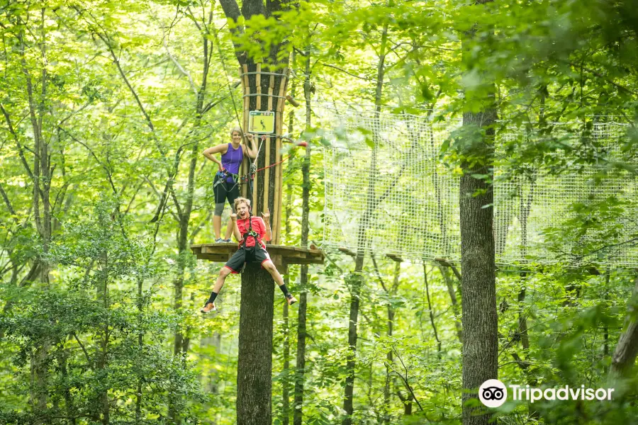 Go Ape Zipline & Adventure Park