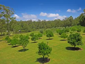 Bawley Vale Estate
