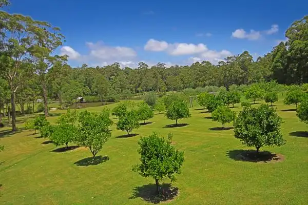 Hotels in Bawley Point