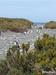 Cabo Vírgenes Cabo Virgenes