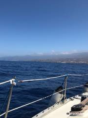Sirenita Trael - VIP excursions in Tenerife