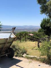 Museo del Vino Enoteca Regionale della Sardegna