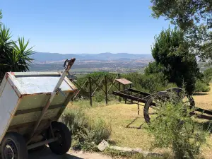 Museo del Vino Enoteca Regionale della Sardegna