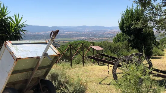 Museo del Vino Enoteca Regionale della Sardegna