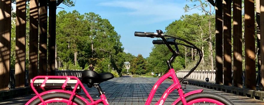 Pedego Electric Bikes 30A