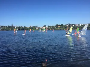 Surfing in Auckland
