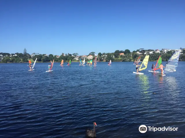 Surfing in Auckland