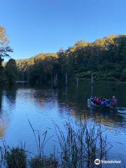 Paddle with the Platypus