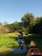 Kayak Danube Delta