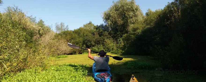 Kayak Danube Delta