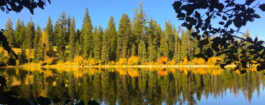 McConnell Lake Provincial Park