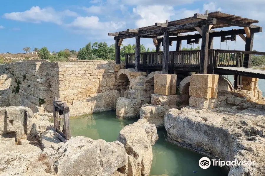 נחל תנינים - Taninim Nature Reserve