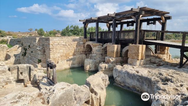 נחל תנינים - Taninim Nature Reserve