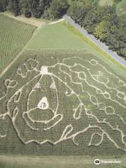 Hicks Family Farm Corn Maze