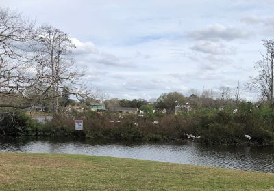 Northlakes Woodstork Colony & Nesting Area