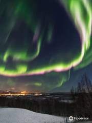 Aurora Borealis Observatory Senja