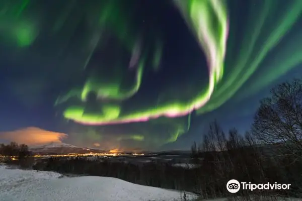 Aurora Borealis Observatory Senja