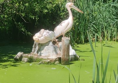 Boudewijn Theme Park and Dolfinarium