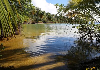 Bocas Del Toro