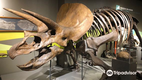 Buffalo Museum of Science