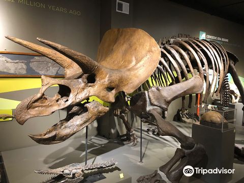 Buffalo Museum of Science