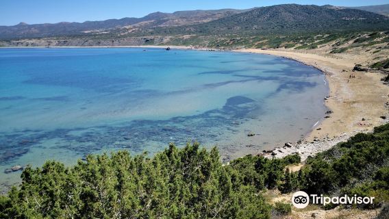 Lara Beach
