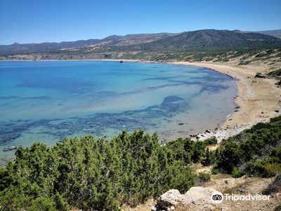 Lara Beach