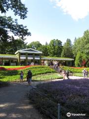 Le Parc du Bois-de-Coulonge