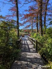 Wertheim National Wildlife Refuge