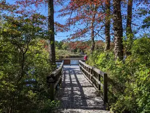 Wertheim National Wildlife Refuge