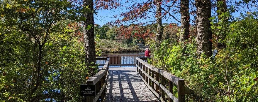 Wertheim National Wildlife Refuge
