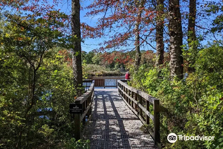 Wertheim National Wildlife Refuge