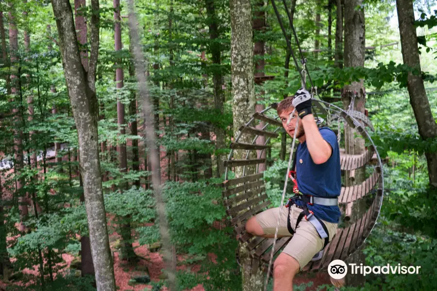 Adventure Park Seilpark Interlaken