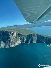 Island Scenic Flights