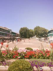 The Plaza Mayor