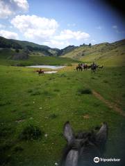 EQUESTRIAN ITALY